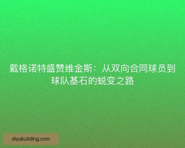 戴格诺特盛赞维金斯：从双向合同球员到球队基石的蜕变之路